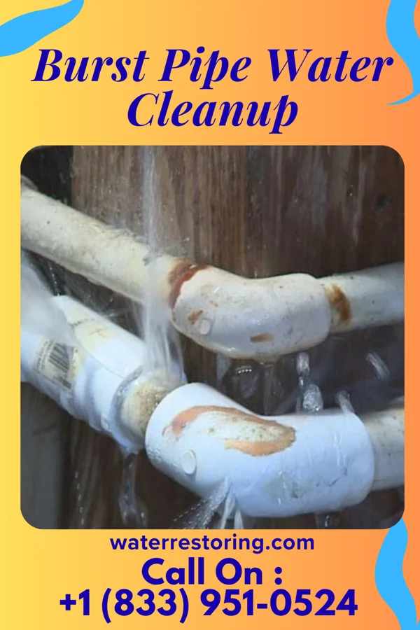 Burst Pipe Water Cleanup in Homewood, PA