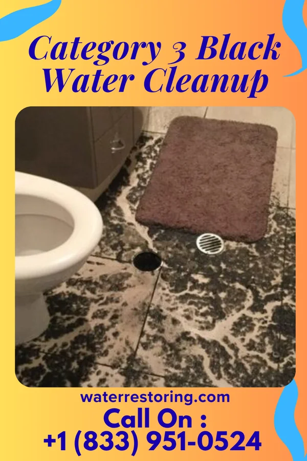 Category 3 Black Water Cleanup in Homewood, PA