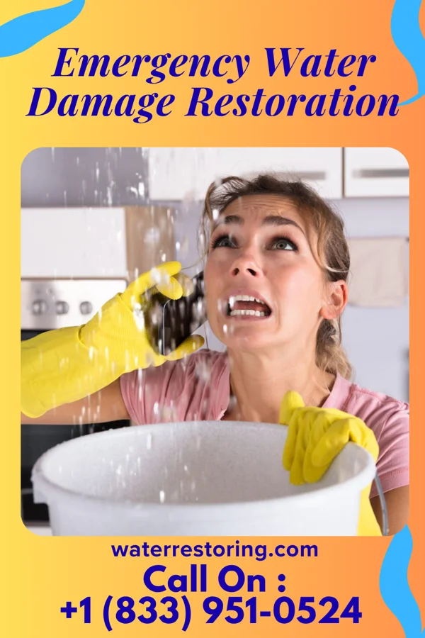 Emergency Water Damage Restoration in Homewood, PA