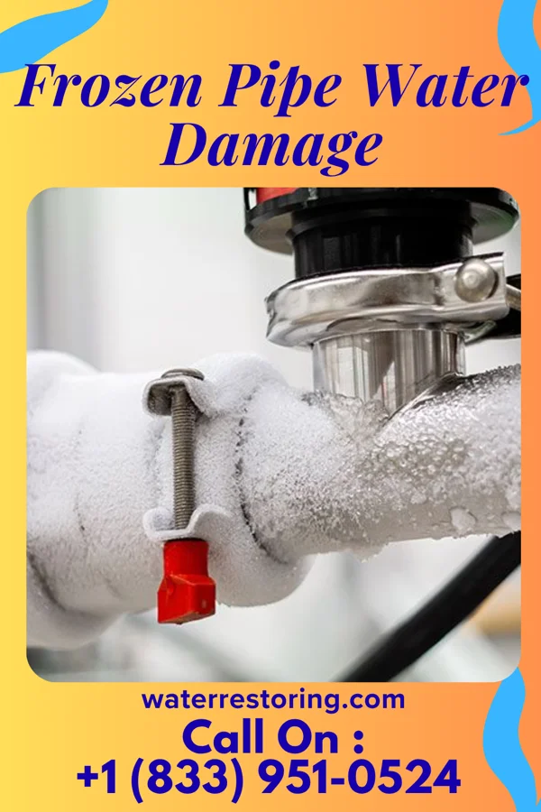 Frozen Pipe Water Damage in Homewood, PA