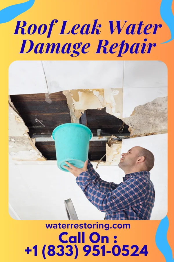 Roof Leak Water Damage Repair in Homewood, PA