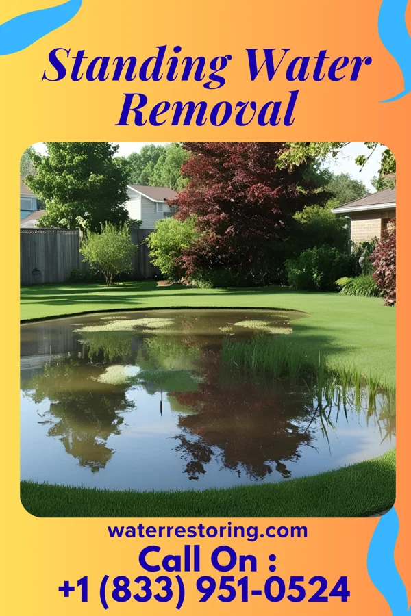 Standing Water Removal in Homewood, PA